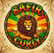 safir curly - الرئيسية